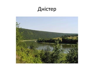 Дністер
 