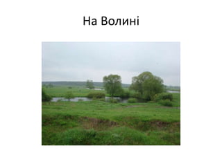 На Волині
 