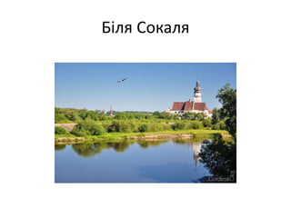 Біля Сокаля
 