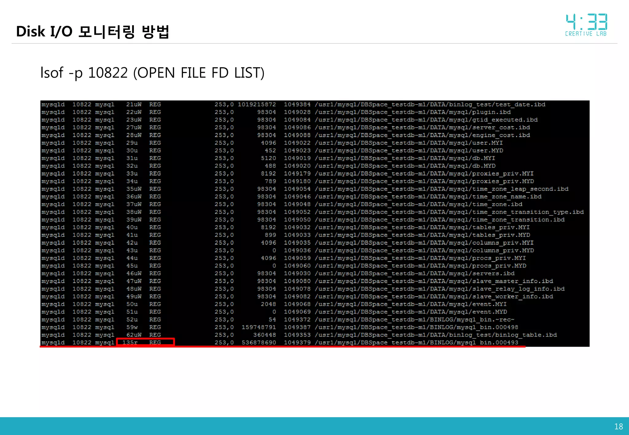 18
Disk I/O 모니터링 방법
lsof -p 10822 (OPEN FILE FD LIST)
 