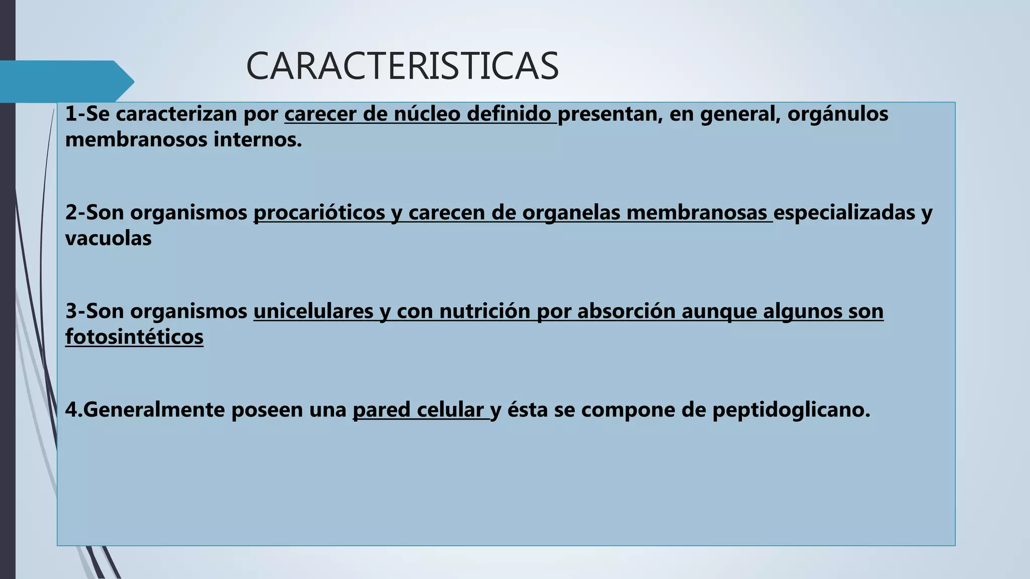1.Reino monera | PPTX
