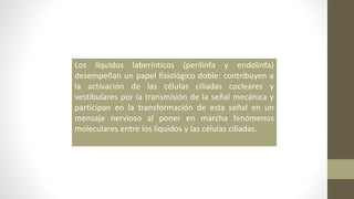 Los líquidos laberínticos (perilinfa y endolinfa)
desempeñan un papel fisiológico doble: contribuyen a
la activación de las células ciliadas cocleares y
vestibulares por la transmisión de la señal mecánica y
participan en la transformación de esta señal en un
mensaje nervioso al poner en marcha fenómenos
moleculares entre los líquidos y las células ciliadas.
 