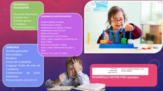 DESARROLLO
PSICOMOTOR
Desarrollo Psicomotor:
a) Motor fino
b) Motor grueso
c) Lenguaje
d) social adaptativo
DESARROLLO MOTOR FINO ejemplos
Pinza fina
hacer rayas
hacer una cruz
hacer un cuadrado,rectángulo, rombo
Escribe palabras
LENGUAJE
Sonidos guturales
Monosílabos
Bisílabos
Frases de 3 palabras
Lenguaje fluido de más de
3 palabras
Comprensión de cosas
abstractas
Pronunciación de la R y S
DESARROLLO MOTOR GRUESO
Sostén cefálico 3 meses
Rodamiento 5 meses
Sedestación con ayuda 5 meses
Sedestación solo 6 meses
Gateo 8-10 meses
Bipedestación 12-15 meses
Subir y bajar escaleras sin alternar los
pies 2 años
Brincar en dos pies 2 años
Subir y bajar alternando los pies 4
años
Brincar en un pie 4-5 años
 