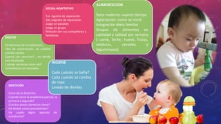 ALIMENTACION
Seno materno: cuanto tiempo
Aglactación: como se inició
Integración dieta familiar
Grupos de alimentos en
cantidad y calidad por semana
( carne, leche, huevo, frutas,
verduras, cereales y
leguminosas)
HABITAT
Condiciones de la habitación,
Tipo de construcción, de cuántos
cuartos consta.
Cuenta con servicios? , en dónde
esta localizada.
Cuántas personas viven ahí?
Convivencia con animales
SOCIAL-ADAPTATIVO
1ra. Agustia de separación
2da angustia de separación
Juego en paralelo
Juego en grupo
Relación con sus compañeros y
familiares
DENTICIÓN
Inicio de la dentición
Cuándo inicia la anodoncia parcial, la
primera o segunda?
Cuántas piezas dentarias tiene?
Ha tenido caries previamente?
Ha usado algún aparato de
ortodoncia?
HIGIENE
Cada cuándo se baña?
Cada cuando se cambia
de ropa
Lavado de dientes
 