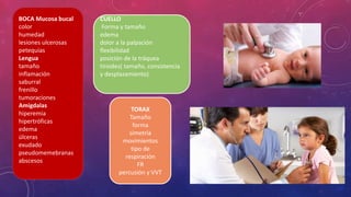 BOCA Mucosa bucal
color
humedad
lesiones ulcerosas
petequias
Lengua
tamaño
inflamación
saburral
frenillo
tumoraciones
Amígdalas
hiperemia
hipertróficas
edema
úlceras
exudado
pseudomemebranas
abscesos
CUELLO
Forma y tamaño
edema
dolor a la palpación
flexibilidad
posición de la tráquea
tiroides( tamaño, consistencia
y desplazamiento)
TORAX
Tamaño
forma
simetría
movimientos
tipo de
respiración
FR
percusión y VVT
 