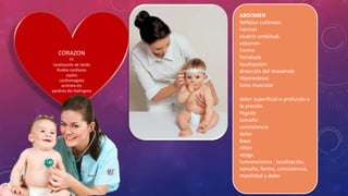 CORAZON
FC
localización de latido
Ruidos cardiacos
soplos
cardiomegalia
arritmia etc
parálisis del diafragma
ABDOMEN
Reflejos cutáneos
hernias
cicatriz umbilical.
volumen
Forma
Perístasis
localización
dirección del moviendo
Hiperestesia
tono muscular
dolor superficial o profundo a
la presión
Hígado
tamaño
consistencia
dolor
Bazo
riñón
vejiga
tumoraciones : localización,
tamaño, forma, consistencia,
movilidad y dolor
 