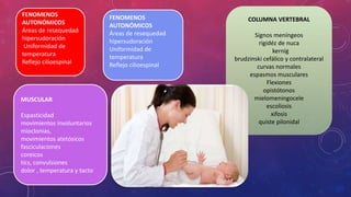 FENOMENOS
AUTONÓMICOS
Áreas de resequedad
hipersudoración
Uniformidad de
temperatura
Reflejo cilioespinal
FENOMENOS
AUTONÓMICOS
Áreas de resequedad
hipersudoración
Uniformidad de
temperatura
Reflejo cilioespinal
MUSCULAR
Espasticidad
movimientos involuntarios
mioclonias,
movimientos atetósicos
fasciculaciones
coreicos
tics, convulsiones
dolor , temperatura y tacto
COLUMNA VERTEBRAL
Signos meníngeos
rigidéz de nuca
kernig
brudzinski cefálico y contralateral
curvas normales
espasmos musculares
Flexiones
opistótonos
mielomeningocele
escoliosis
xifosis
quiste pilonidal
 