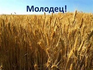 Молодец!
 
