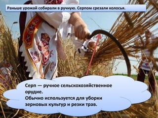 Серп — ручное сельскохозяйственное
орудие.
Обычно используется для уборки
зерновых культур и резки трав.
Раньше урожай собирали в ручную. Серпом срезали колосья.
 