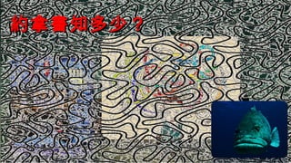 約拿書知多少？約拿書知多少？約拿書知多少？約拿書知多少？
 