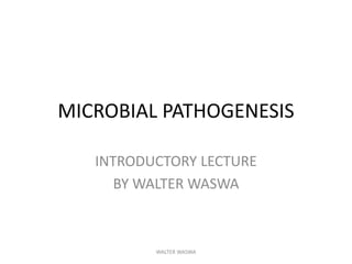 MICROBIAL PATHOGENESIS
INTRODUCTORY LECTURE
BY WALTER WASWA
WALTER WASWA
 