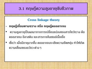 3.1 ทฤษฎีความสูงอายุเชิงชีวภาพ
Cross linkage theory
- ทฤษฎีเชื่อมตามขวาง หรือ ทฤษฏีคอลลาเจน
• ความสูงอายุเป็นผลมาจากการเปลี่ยนแปลงของสารไขว้ขวาง คือ
คอลลาเจน อีลาสติน และสารภายในเซลล์เนื้อเยื่อ
• เชื่อว่า เมื่อมีอายุมากขึ้น คอลลาเจนจะเสียความยืดหยุ่น ทาให้เกิด
ความเสื่อมของอวัยวะต่างๆ
 