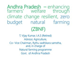 Andhra Pradesh – enhancing
farmers’ welfare through
climate change resilient, zero
budget natural farming
(ZBNF)
T. Vijay Kumar, I.A.S (Retired)
Advisor, Agriculture,
Co- Vice Chairman, Rythu sadhikara samstha,
and, in charge of
Natural farming programme
Govt. of Andhra Pradesh
 