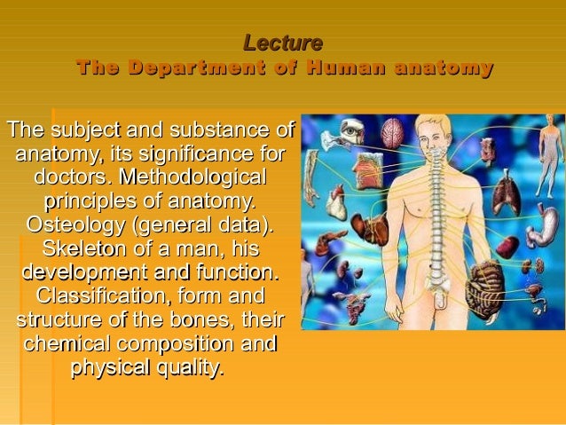 Skeleton Of Man Osteology