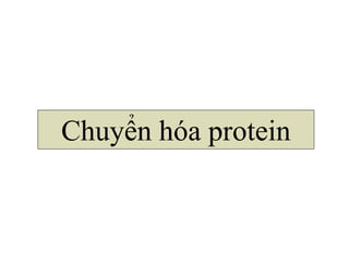Chuyển hóa protein
 