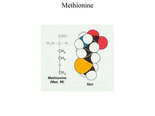 Methionine
 
