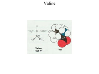 Valine
 