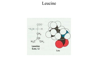 Leucine
 