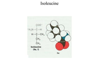 Isoleucine
 