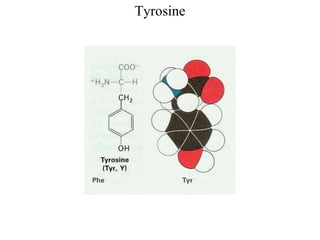 Tyrosine
 