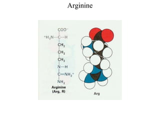 Arginine
 