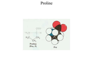 Proline
 