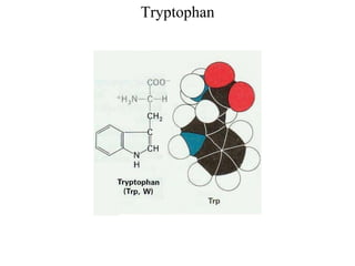 Tryptophan
 