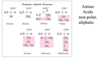 Amino
Acids
non-polar,
aliphatic
 