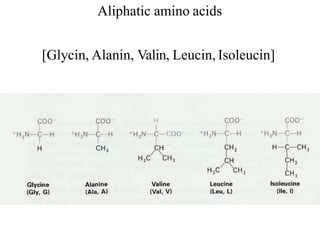 Aliphatic amino acids
[Glycin, Alanin, Valin, Leucin, Isoleucin]
 