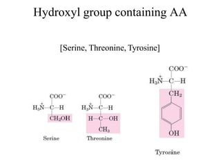 Hydroxyl group containing AA
[Serine, Threonine, Tyrosine]
 