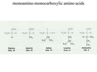monoamino-monocarboxylic amino acids
 