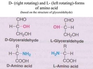 D- (right rotating) and L- (left rotating)-forms
of amino acid
(based on the structure of glyceraldehyde)
 
