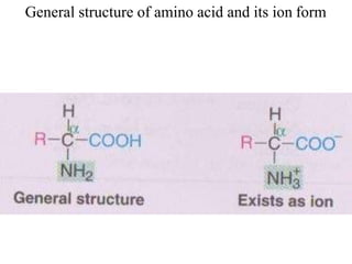 General structure of amino acid and its ion form
 