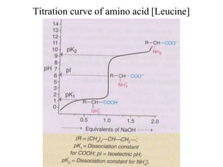 Titration curve of amino acid [Leucine]
 