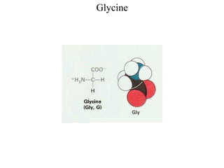 Glycine
 
