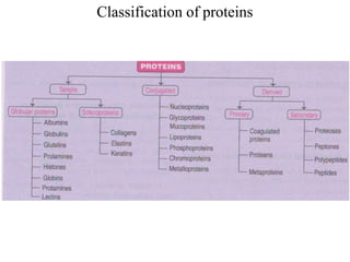 Classification of proteins
 