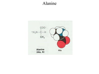 Alanine
 