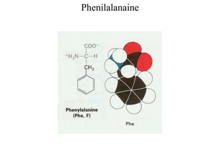Phenilalanaine
 