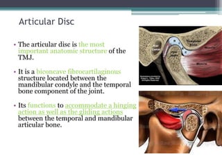 Temporal Disc Process Temperomandibular joint Anatomy | PPTX
