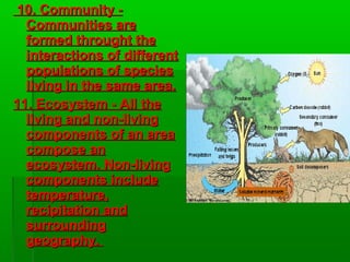 Structural-Functional organization of the Cell | PPT