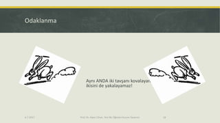 Odaklanma
Aynı ANDA iki tavşanı kovalayan
ikisini de yakalayamaz!
6.7.2017 Prof. Dr. Alper Cihan, Yeni Bir Öğretici Kurum Tasarımı 18
 