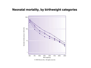 Neonatal mortality, by birthweight categoriesNeonatal mortality, by birthweight categories
 