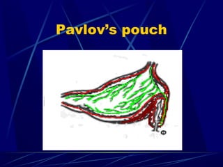 Physiology Of Digestion In Mouth Cavity PPT