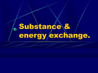 Substance &
energy exchange.
 