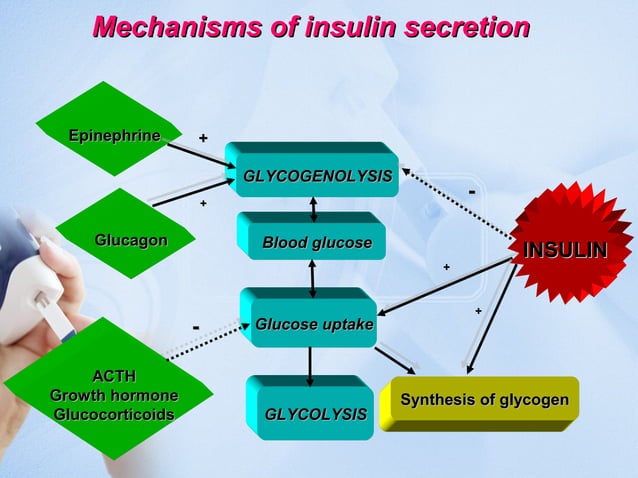 Etiology & pathogenesis of Diabetes Mellitus | PPT