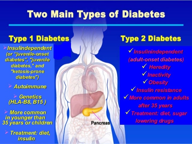 Etiology & pathogenesis of Diabetes Mellitus