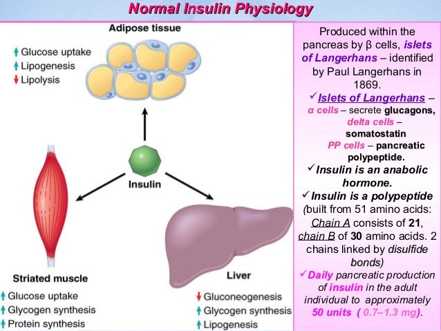 pathophysiology of type 1 diabetes mellitus pdf
