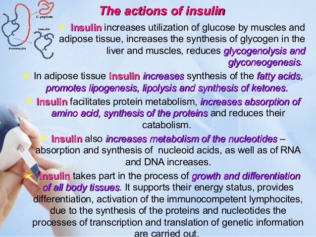 Etiology & pathogenesis of Diabetes Mellitus