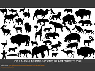 Write
this
down
!
Image source: http://www.istockphoto.com/stock-illustration-6322985-farm-animal-
silhouette-collection.php
This is because the profile view offers the most informative angle
 