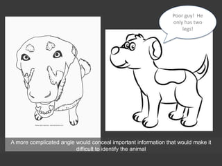 Poor guy! He
only has two
legs!
A more complicated angle would conceal important information that would make it
difficult to identify the animal
 